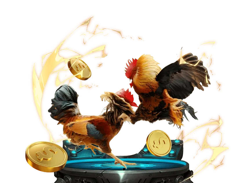 Trận đấu đá gà kịch tính tại 3win Nổ Hũ